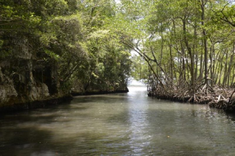 Modello inclusivo, partecipativo e ambientalmente sostenibile di gestione delle Mangrovie come strategia di lotta alla povertà