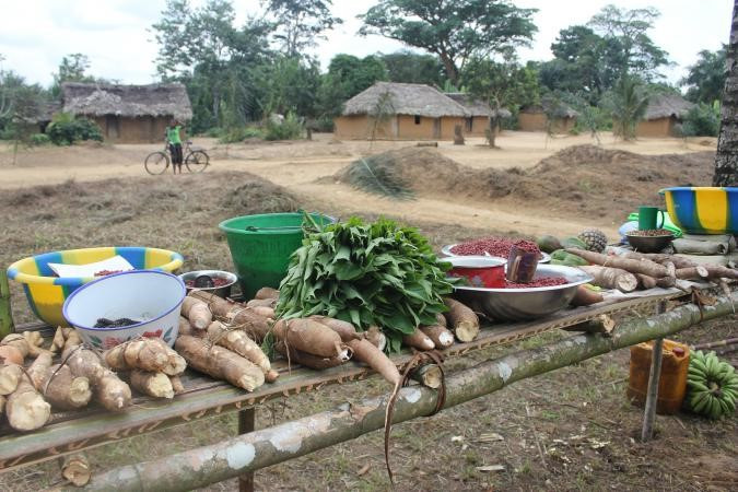 Garantire la sicurezza alimentare grazie ai "groupements paysans"