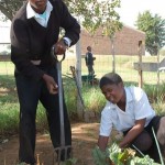 Grazie ad un programma educativo l'alimentazione e la situazione sanitaria degli abitanti delle township migliora sensibilmente